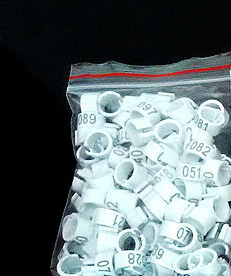 100 vnt Vidinis skersmuo 8 mm Paukščio pėdos žiedas balandis balandis papūgos kojos žiedai mažų paukščių pėdų žiedas paukščių segtukų žiedas 10 spalvų