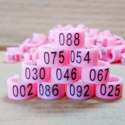 100 vnt Vidinis skersmuo 8 mm Paukščio pėdos žiedas balandis balandis papūgos kojos žiedai mažų paukščių pėdų žiedas paukščių segtukų žiedas 10 spalvų