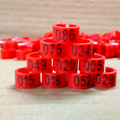 100 vnt Vidinis skersmuo 8 mm Paukščio pėdos žiedas balandis balandis papūgos kojos žiedai mažų paukščių pėdų žiedas paukščių segtukų žiedas 10 spalvų