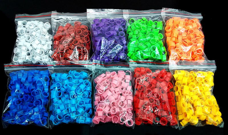 100 vnt Vidinis skersmuo 8 mm Paukščio pėdos žiedas balandis balandis papūgos kojos žiedai mažų paukščių pėdų žiedas paukščių segtukų žiedas 10 spalvų