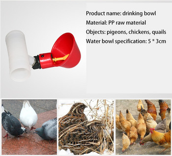 Πλαστικό Pigeon Automatic Water Dispenser Chicken Drinking Bowl Πουλερικά Automatic Drinking Bowl Bird Water Feeder Χονδρική