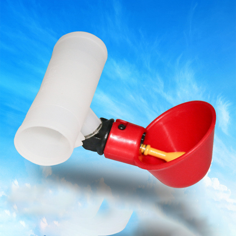 Plastikust Pigeon automaatne veeautomaat kana joogikauss linnuliha automaatne joogikauss linnu veesöötja hulgimüük