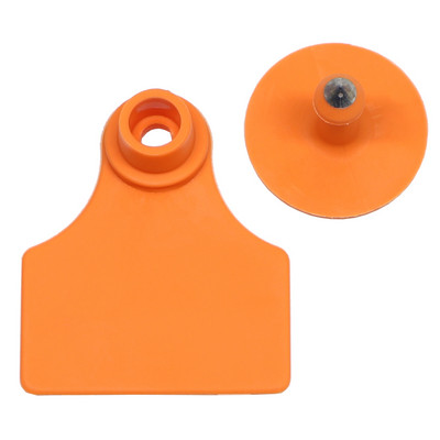 5 bucăți placă de etichetă pentru urechi de porc, fără cuvinte, etichetă goală de marcare cu cercei, 7 culori, card de identificare pentru animale de fermă