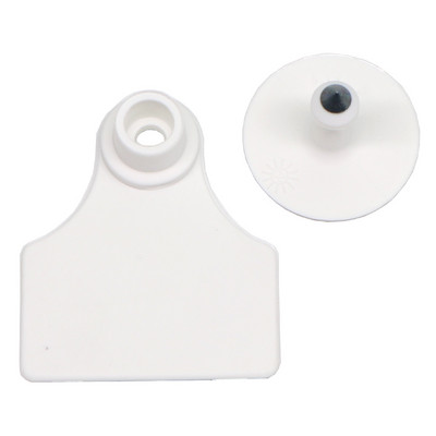 5 bucăți placă de etichetă pentru urechi de porc, fără cuvinte, etichetă goală de marcare cu cercei, 7 culori, card de identificare pentru animale de fermă