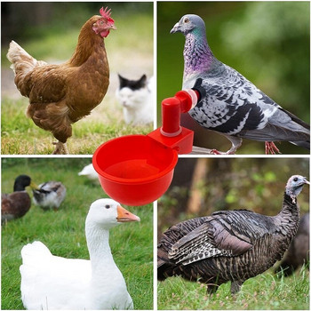 Αυτόματα μπολ και ποτήρια για κύπελλα νερού κοτόπουλου Πλαστικά πουλερικά Εργαλεία τροφοδοσίας κατοικίδιων πτηνών Εύκολα στην εγκατάσταση Αξεσουάρ φάρμας