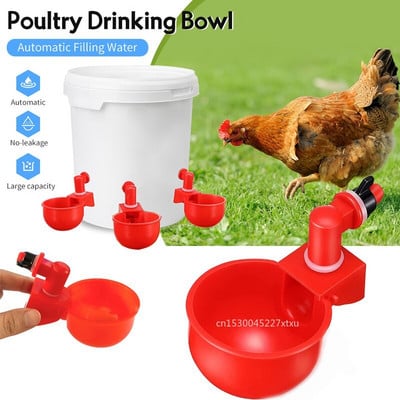 Automatic Chicken Water Cup Bowls and Drinkers Plastic Poultry Domestic Bird  Feeding Tools Easy to Install Farm Accessories