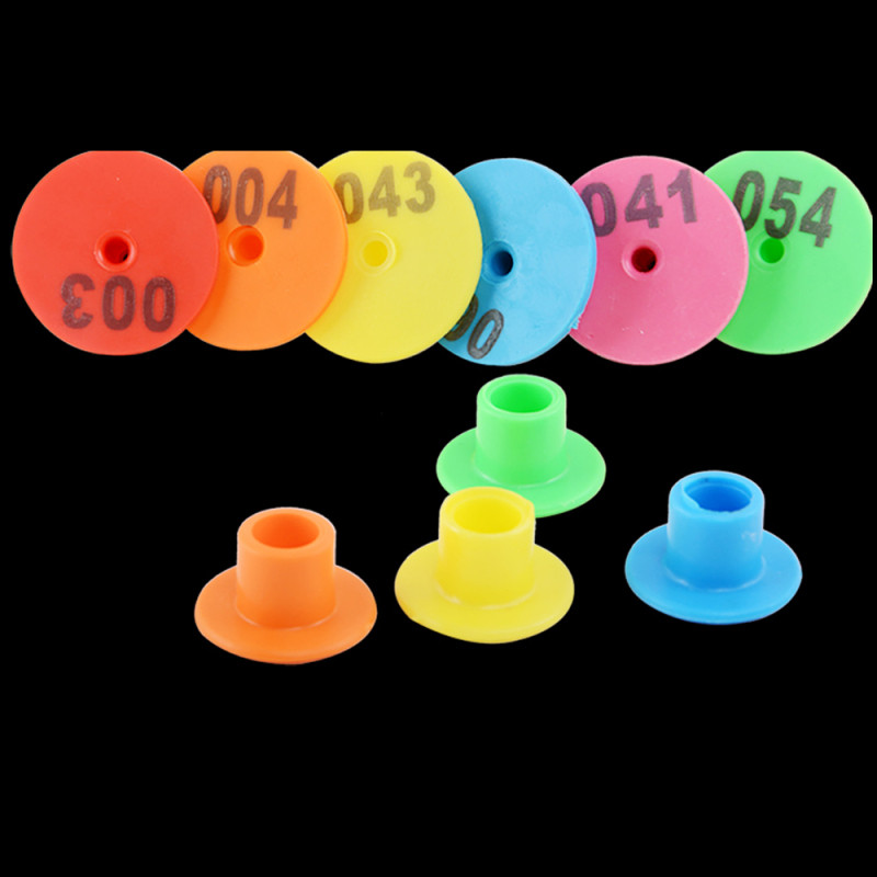 30 ΤΕΜ Ζωικά προμήθειες Πρόβατο κουνέλι Κατσίκι Γουρούνι Ετικέτες αυτιών με αριθμητική πληκτρολόγηση λέιζερ Χάλκινα σκουλαρίκια κεφαλής 6 έγχρωμη ταυτότητα