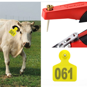 Ετικέτες αυτιών Livestock Cow Cattle Προσαρμοσμένα ενώτια ζώων φάρμας Πλαστική ετικέτα αναγνώρισης TPU με αριθμό για πρόβατα χοίρων 20 τεμ.