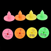 20 de bucăți etichetă de ureche de iepure, semne din plastic, cercei cu cap cu tastare cu laser, animale de fermă, vulpe, nurcă, câine, etichetă, card de identificare