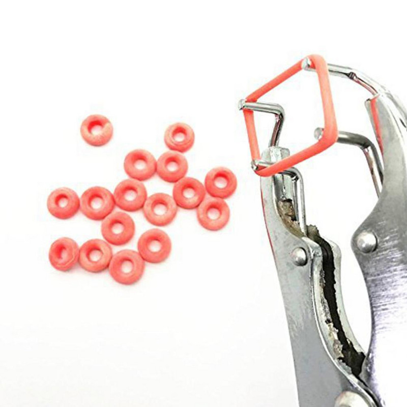 Kanta za hranjenje s mrežom Kanta za hranu za piliće 1,5 kg zgusnuta kanta za posude za hranu za prepelice Hranjenje životinja za piliće Rasing