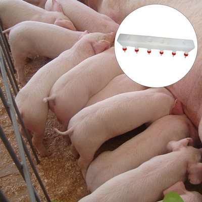 Koze Ovce Posuda za kravlje mlijeko Govedo Ovce Posuda za hranu za mlijeko stoke za hranjenje ovaca Koza Janjetina Ps