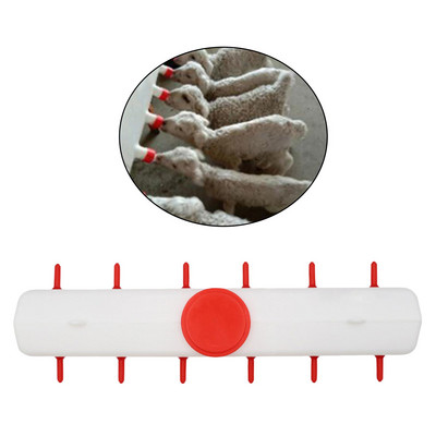 Koze Ovce Posuda za kravlje mlijeko Govedo Ovce Posuda za hranu za mlijeko stoke za hranjenje ovaca Koza Janjetina Ps