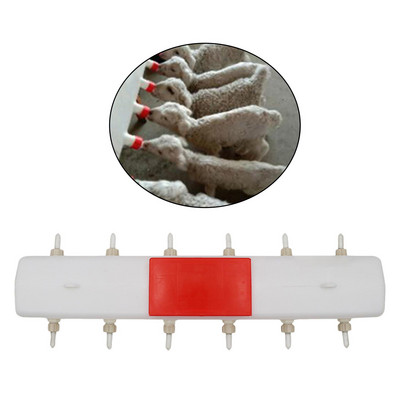 Koze Ovce Posuda za kravlje mlijeko Govedo Ovce Posuda za hranu za mlijeko stoke za hranjenje ovaca Koza Janjetina Ps