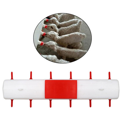 Koze Ovce Posuda za kravlje mlijeko Govedo Ovce Posuda za hranu za mlijeko stoke za hranjenje ovaca Koza Janjetina Ps