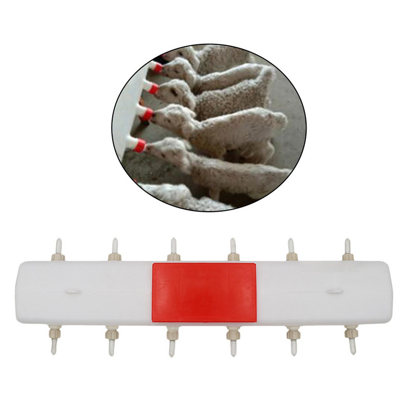 Koze Ovce Posuda za kravlje mlijeko Govedo Ovce Posuda za hranu za mlijeko stoke za hranjenje ovaca Koza Janjetina Ps