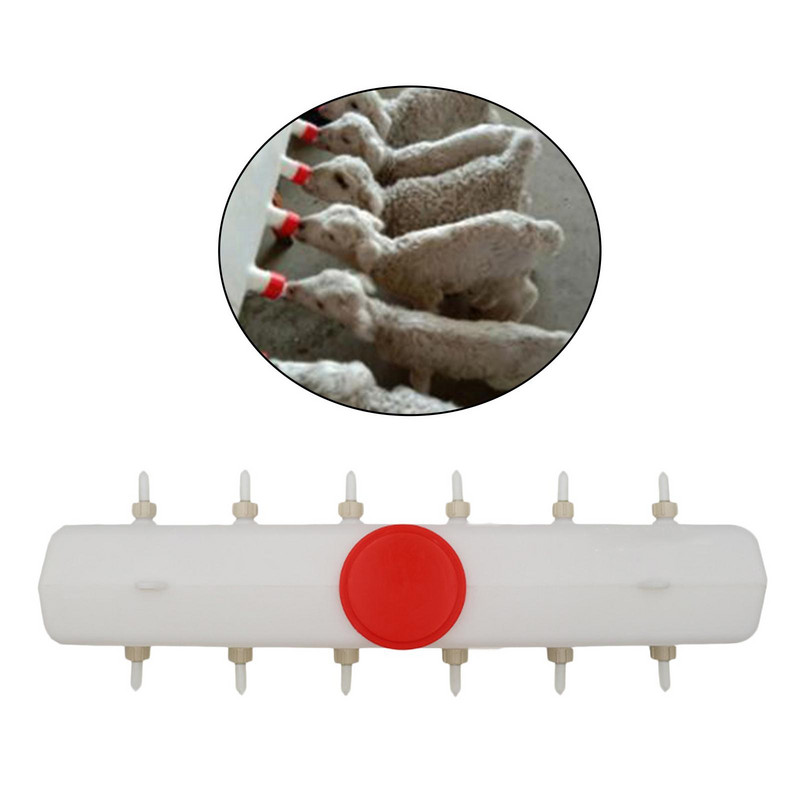 Koze Ovce Posuda za kravlje mlijeko Govedo Ovce Posuda za hranu za mlijeko stoke za hranjenje ovaca Koza Janjetina Ps
