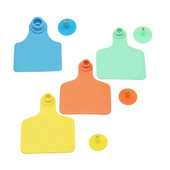 Bez riječi Stoka Boje Ušna markica Oprema za poljoprivredu Identifikacija životinja Ušna markica Krava ovca Alati za hranjenje stoke 20 kompleta