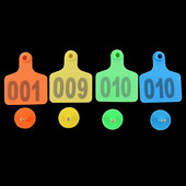 20 DB szarvasmarha füljelző címke lézeres tehén füljelző címke réz fej fülbevaló haszonállatok digitális azonosító kártya