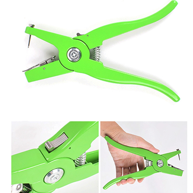 Ausų įsagų replės Gyvūnų kontrolės įtaisas Žalias Metalinės ausų žnyplės Kiaulių karvių avių triušių identifikavimo įrankis Gyvulių reikmenys