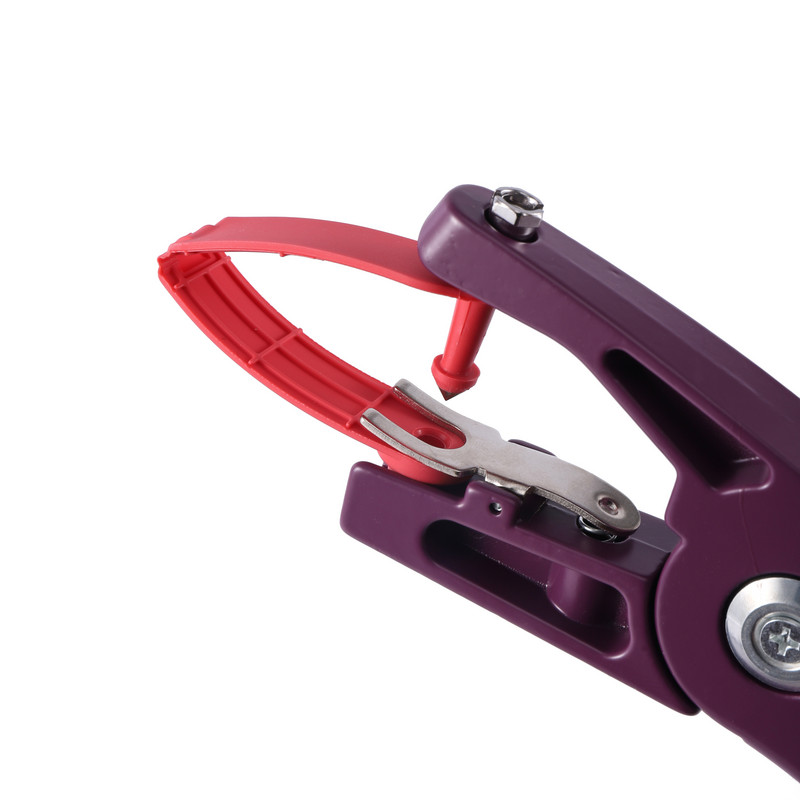 6 vnt. Ūkinių gyvūnų reikmenys Nešiojami du viename ausies įsagai Avių ausų įsagai Lazerinio tipo auskarai Gyvūnų reikmenys