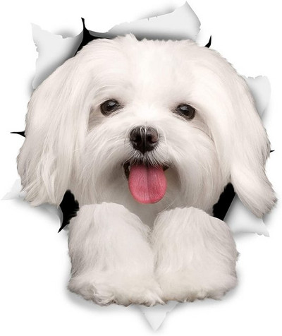 FUYOOHI Naljepnice za igranje Shih Tzu Pas Kućni ljubimac Životinja Vodootporna naljepnica PVC Naljepnica za automobile za automobile Dekoracije na braniku stražnjeg prozora prijenosnog računala
