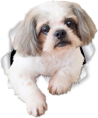 FUYOOHI Naljepnice za igranje Shih Tzu Pas Kućni ljubimac Životinja Vodootporna naljepnica PVC Naljepnica za automobile za automobile Dekoracije na braniku stražnjeg prozora prijenosnog računala
