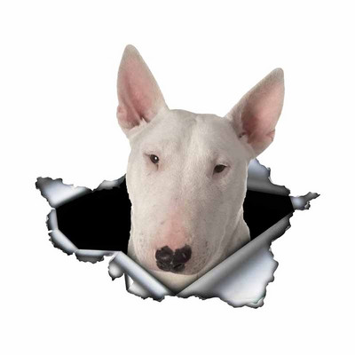Autocolante de joacă FUYOOHI Autocolant creativ pentru mașină Bull Terrier alb Autocolante reflectorizante rezistente la apă din metal rupt 3d Decal pentru câini