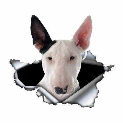 Autocolante de joacă FUYOOHI Autocolant creativ pentru mașină Bull Terrier alb Autocolante reflectorizante rezistente la apă din metal rupt 3d Decal pentru câini