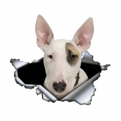 Autocolante de joacă FUYOOHI Autocolant creativ pentru mașină Bull Terrier alb Autocolante reflectorizante rezistente la apă din metal rupt 3d Decal pentru câini