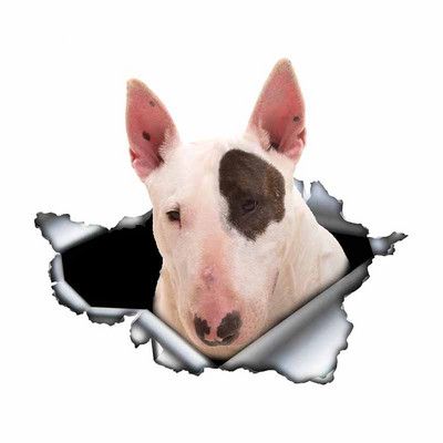 Autocolante de joacă FUYOOHI Autocolant creativ pentru mașină Bull Terrier alb Autocolante reflectorizante rezistente la apă din metal rupt 3d Decal pentru câini