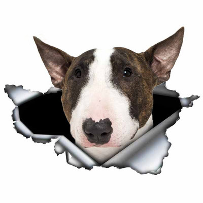 Autocolante de joacă FUYOOHI Autocolant creativ pentru mașină Bull Terrier alb Autocolante reflectorizante rezistente la apă din metal rupt 3d Decal pentru câini