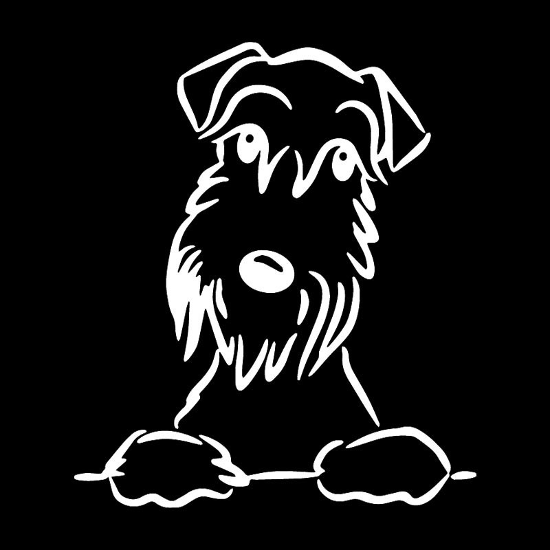 Drăguț Schnauzer Autocolant Auto Motocicletă Decorare Notebook Impermeabil și Protecție Solară PVC 15*13cm