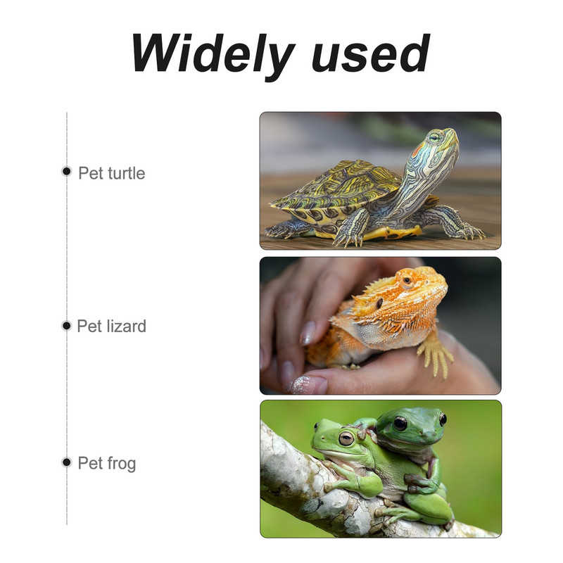 Covor Covor Reptile Terariu Căptușeală Substrat Soparlă Așternut Cușcă Șarpe Gecko Broasca Testoasa Dragon Broasca Testoasa Barbosa Iepuraș