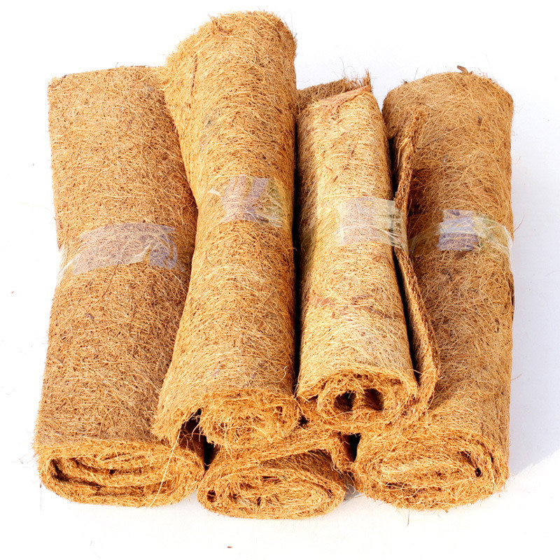 Rāpuļu mājdzīvnieku gultas paklājiņš Akvārijs Bruņurupucis Bruņurupucis Ķirzaka Rāpuļi Kāpšana Kokosriekstu Palma Paklājs Kāpšana Mājdzīvnieks Silts