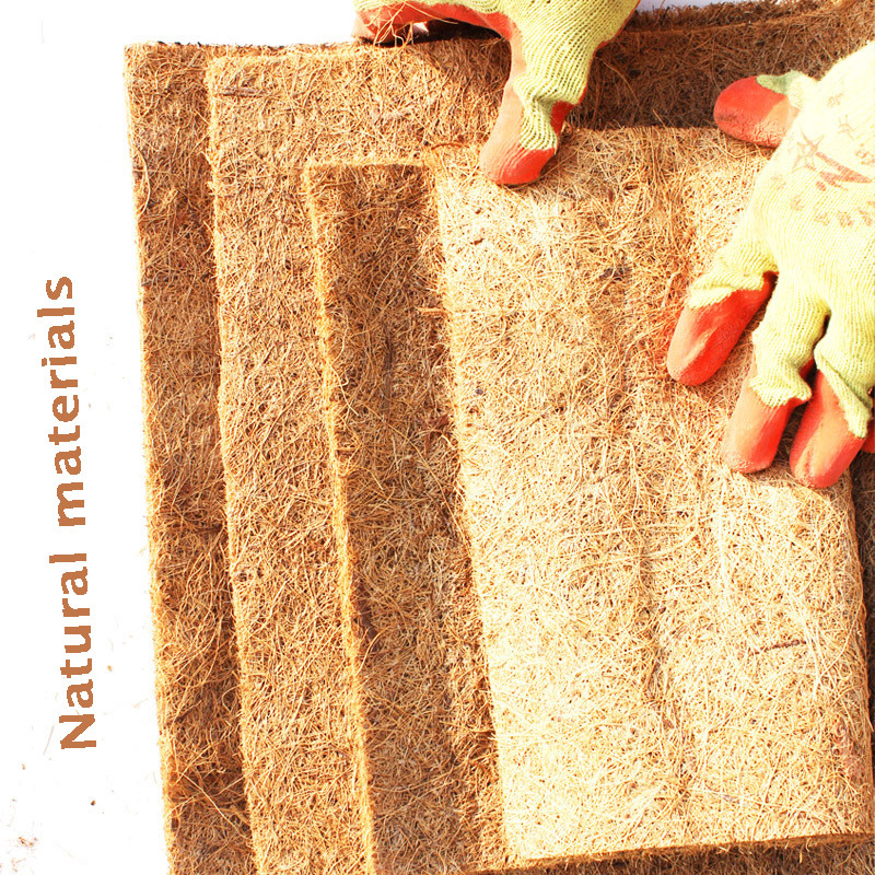 Rāpuļu mājdzīvnieku gultas paklājiņš Akvārijs Bruņurupucis Bruņurupucis Ķirzaka Rāpuļi Kāpšana Kokosriekstu Palma Paklājs Kāpšana Mājdzīvnieks Silts