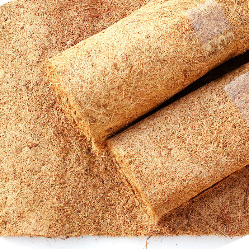 Rāpuļu mājdzīvnieku gultas paklājiņš Akvārijs Bruņurupucis Bruņurupucis Ķirzaka Rāpuļi Kāpšana Kokosriekstu Palma Paklājs Kāpšana Mājdzīvnieks Silts