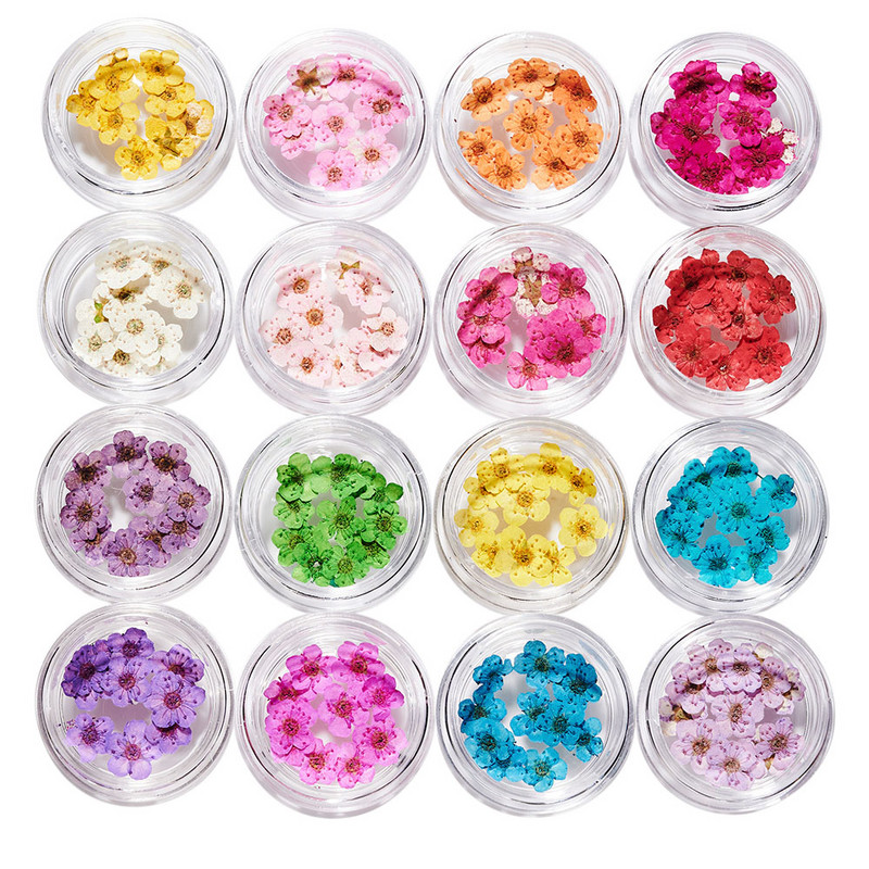 1 cutie Narcise uscate flori Nail Art Decoratiuni DIY Floral Manichiura Decor Mixt Natural Nail Flower Ornamente flori uscate KDJF&9
