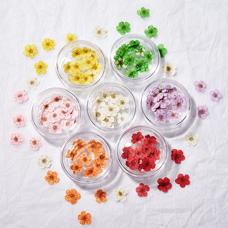 1 cutie Narcise uscate flori Nail Art Decoratiuni DIY Floral Manichiura Decor Mixt Natural Nail Flower Ornamente flori uscate KDJF&9