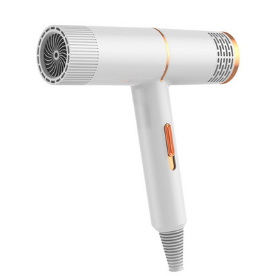 Επαγγελματική μηχανή στεγνωτήρα μαλλιών Υπέρυθρη αρνητική ιοντική πιστολάκι ζεστού & κρύου ανέμου Hair Styler Εργαλείο Ηλεκτρικό στεγνωτήριο φυσητήρα