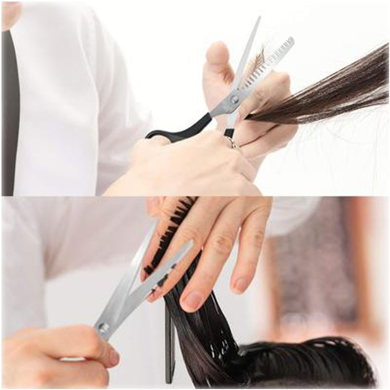 Frizerske škare od 3 kom. Komplet škara od 6 inča Alat za šišanje prorijeđene kose Češalj Brijački pribor Frizerske škare