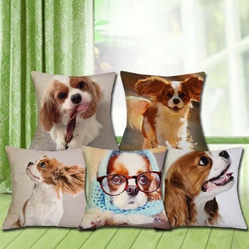 Cavalier King Charles Spaniel 45x45cm Μαξιλαροθήκη Μαξιλαροθήκη Καναπές Υπνοδωματίου Διακόσμηση σπιτιού