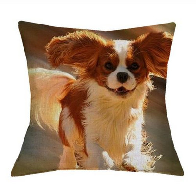 Cavalier King Charles spániel 45x45 cm párnahuzat párnahuzat hálószoba kanapé lakberendezés