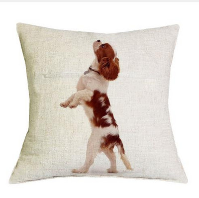 Cavalier King Charles spániel 45x45 cm párnahuzat párnahuzat hálószoba kanapé lakberendezés