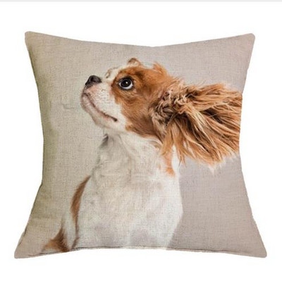 Cavalier King Charles spániel 45x45 cm párnahuzat párnahuzat hálószoba kanapé lakberendezés