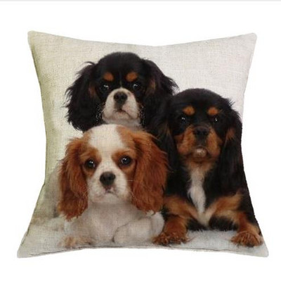 Cavalier King Charles spániel 45x45 cm párnahuzat párnahuzat hálószoba kanapé lakberendezés