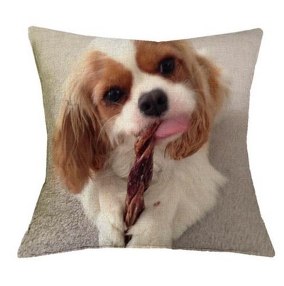 Cavalier King Charles spániel 45x45 cm párnahuzat párnahuzat hálószoba kanapé lakberendezés