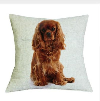 Cavalier King Charles spániel 45x45 cm párnahuzat párnahuzat hálószoba kanapé lakberendezés