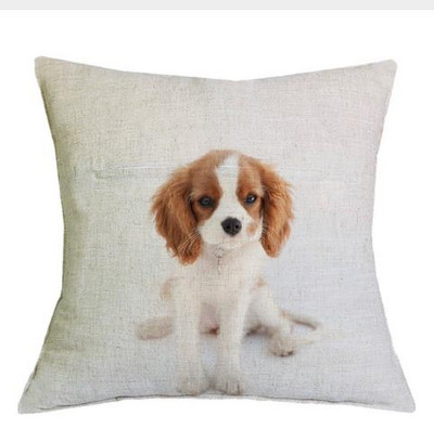 Cavalier King Charles spániel 45x45 cm párnahuzat párnahuzat hálószoba kanapé lakberendezés