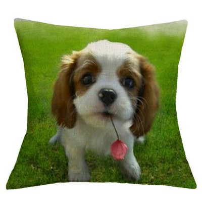 Cavalier King Charles spániel 45x45 cm párnahuzat párnahuzat hálószoba kanapé lakberendezés