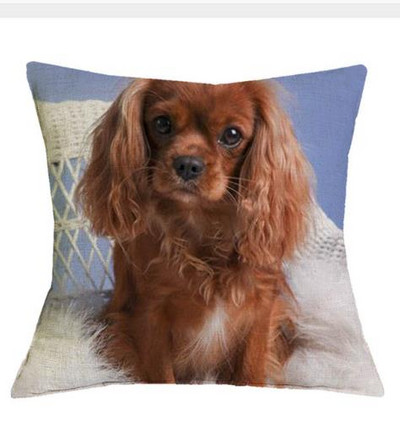 Cavalier King Charles spániel 45x45 cm párnahuzat párnahuzat hálószoba kanapé lakberendezés